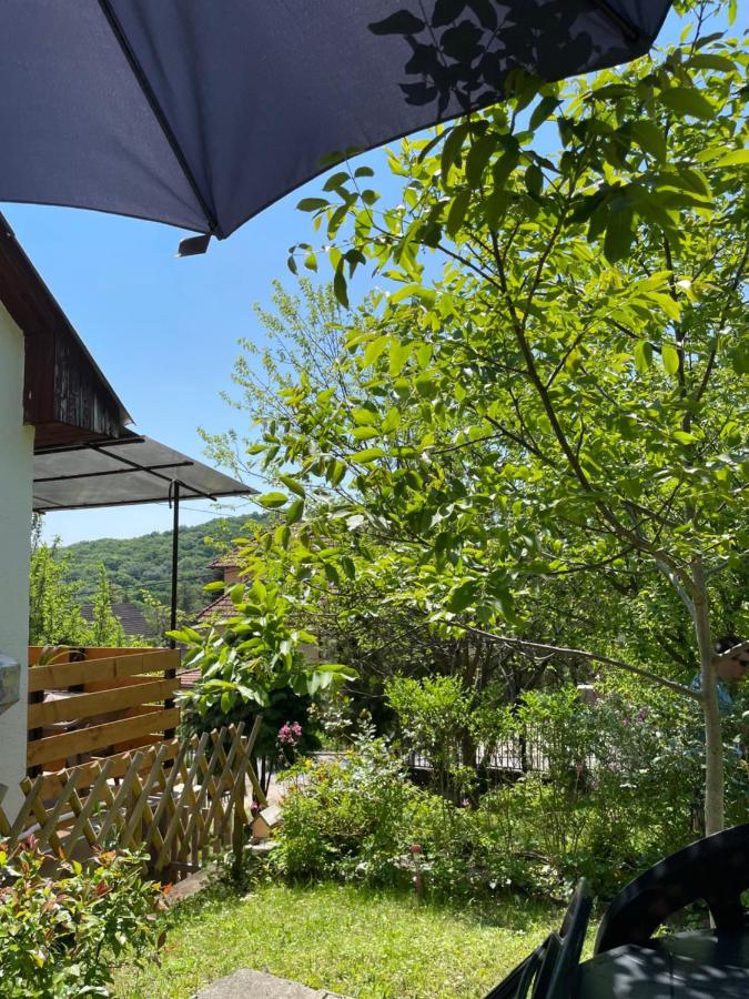 Lianne Apartman Miskolc Exteriör bild